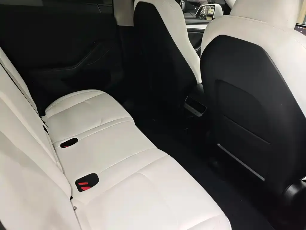 Tesla Model Y 2024 из CN, фото 2