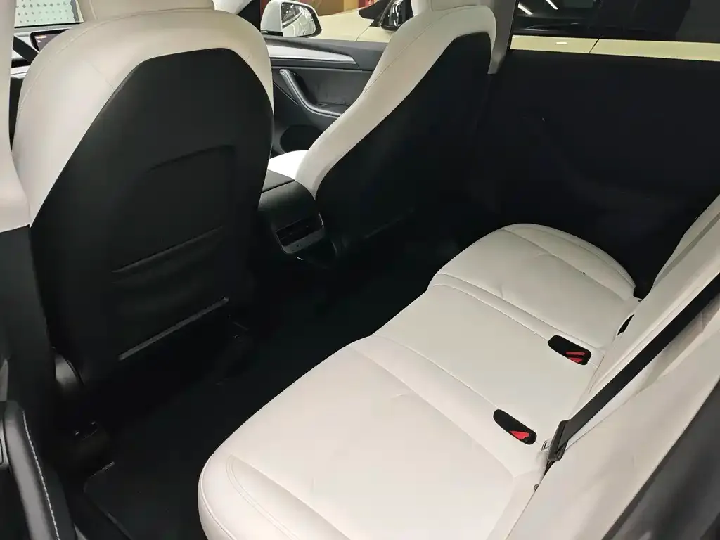 Tesla Model Y 2024 из CN, фото 3