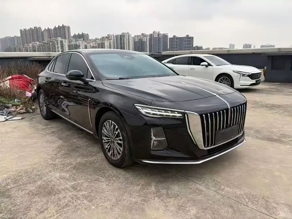 Hongqi H5 — фото 9