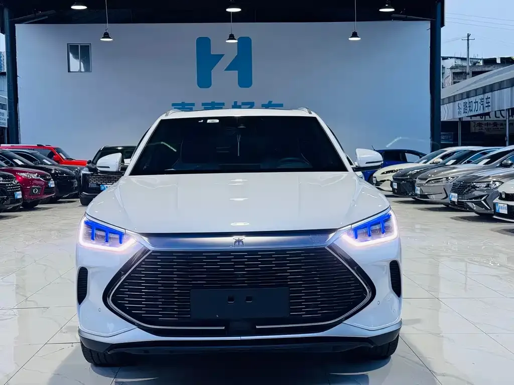 BYD PLUS New Energy 2022 из CN, фото 6