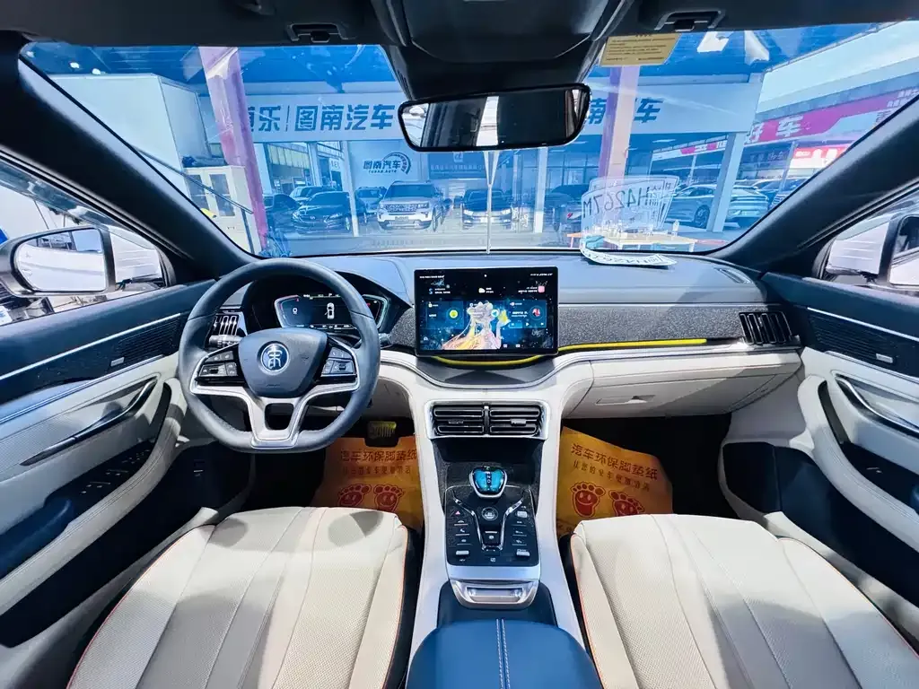 BYD PLUS New Energy 2022 из CN, фото 3