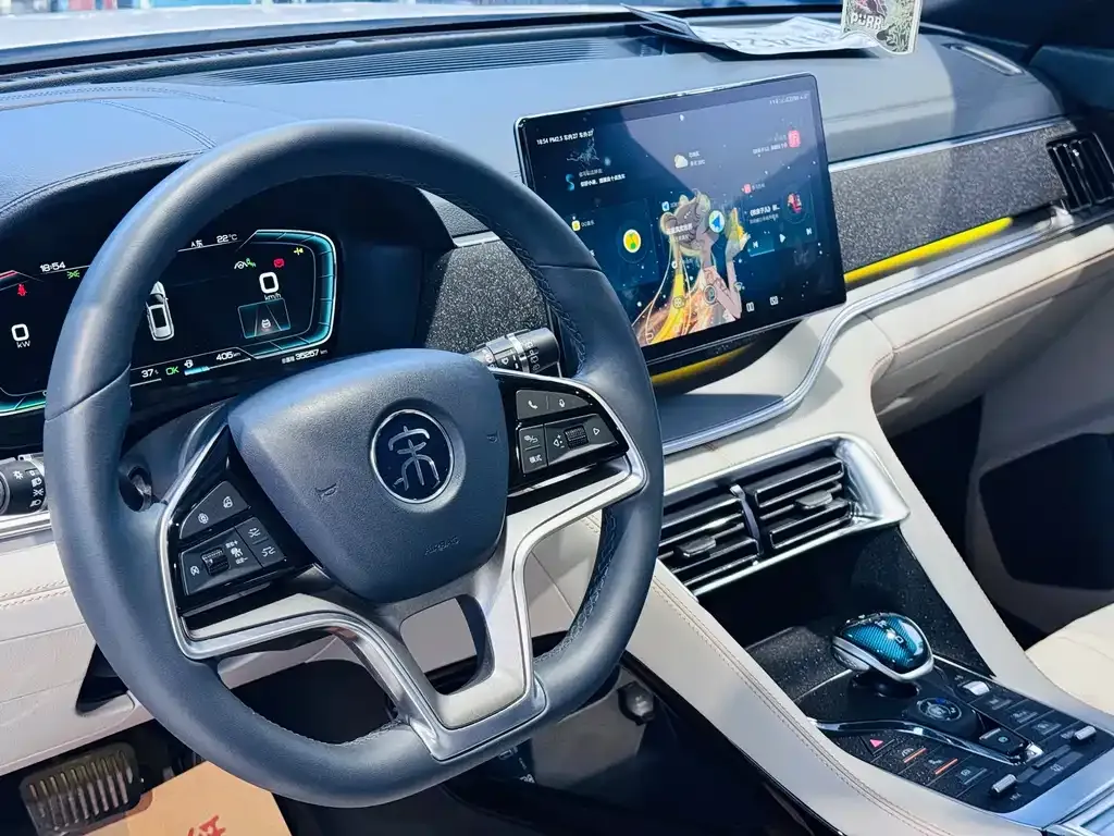 BYD PLUS New Energy 2022 из CN, фото 8