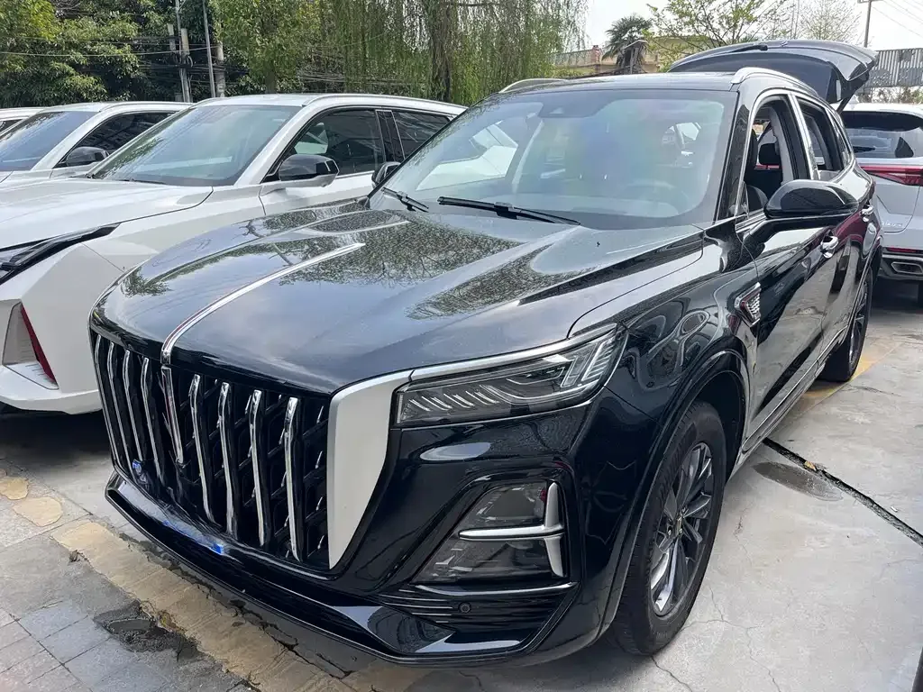Hongqi HS5 2024 из CN, фото 1