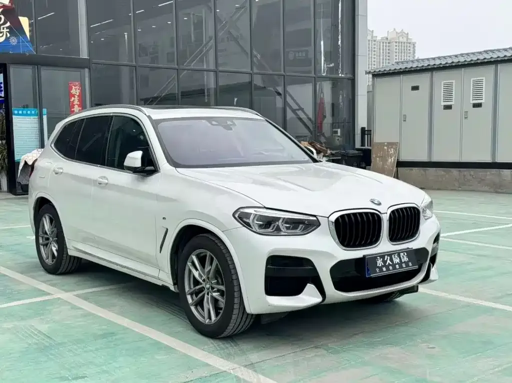BMW X3 2021 из CN, фото 3