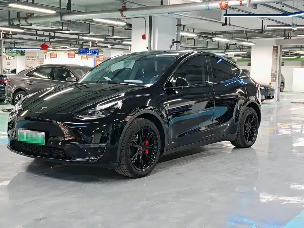 Tesla Model Y — фото 1