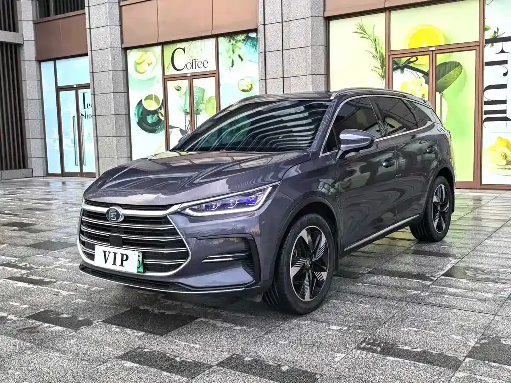 BYD Tang New Energy 2023 из CN, фото 1