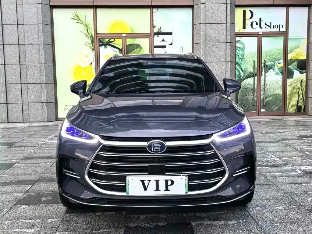 BYD Tang New Energy 2023 из CN, фото 8