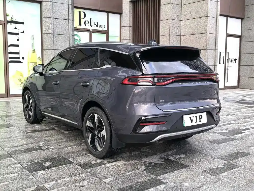 BYD Tang New Energy 2023 из CN, фото 6