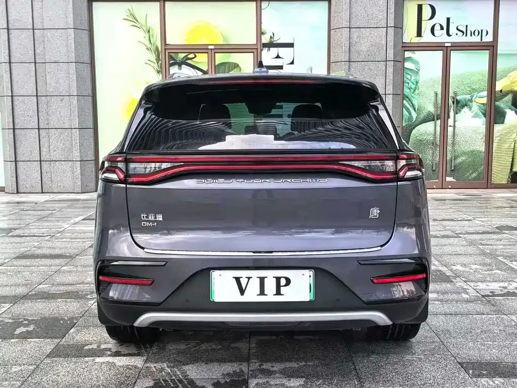 BYD Tang New Energy 2023 из CN, фото 7