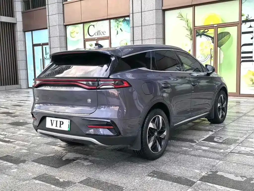 BYD Tang New Energy 2023 из CN, фото 10