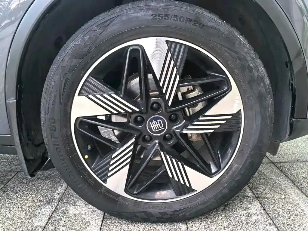BYD Tang New Energy 2023 из CN, фото 3