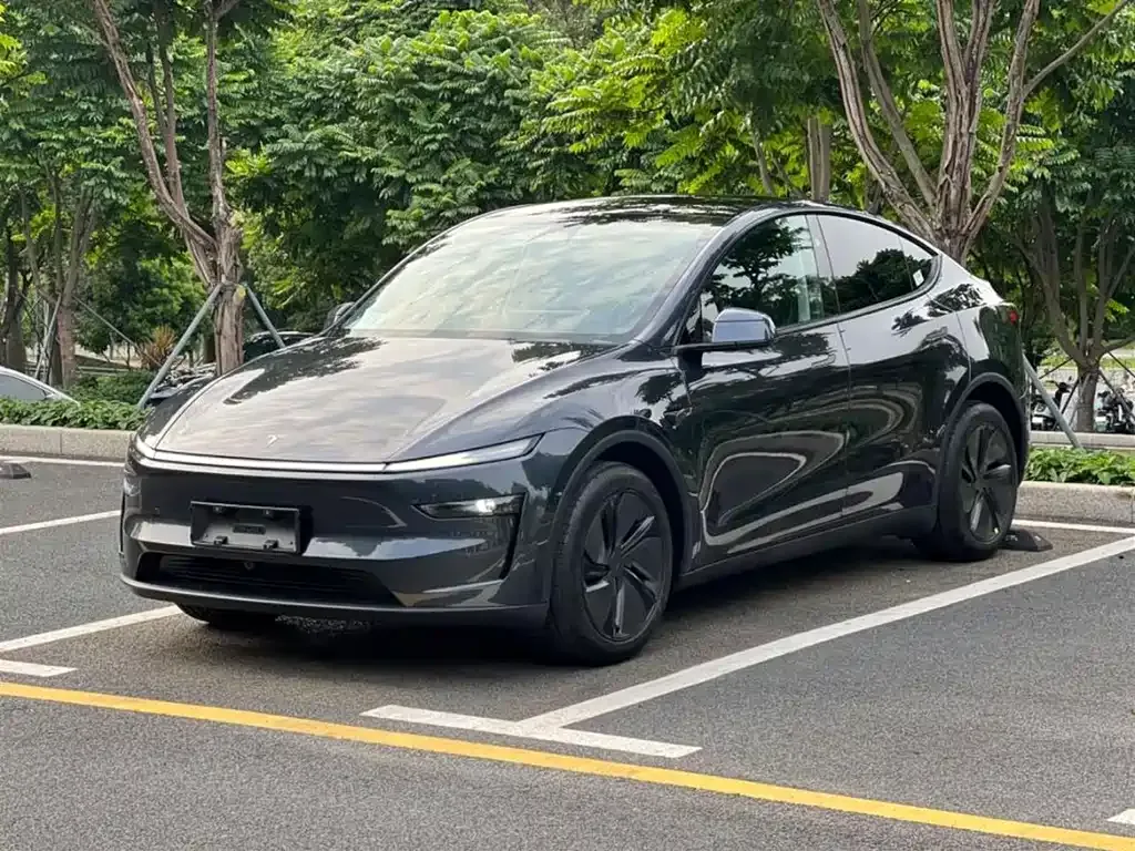 Tesla Model Y 2025 из CN, фото 1