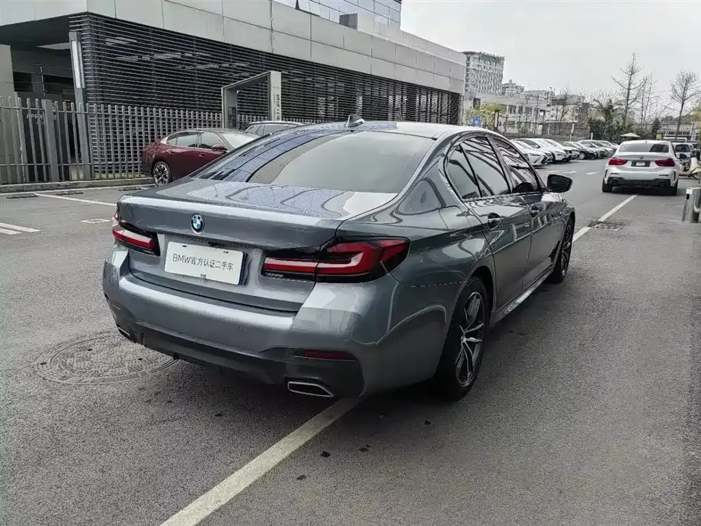 BMW 5 Series (Import) 2022 из CN, фото 9