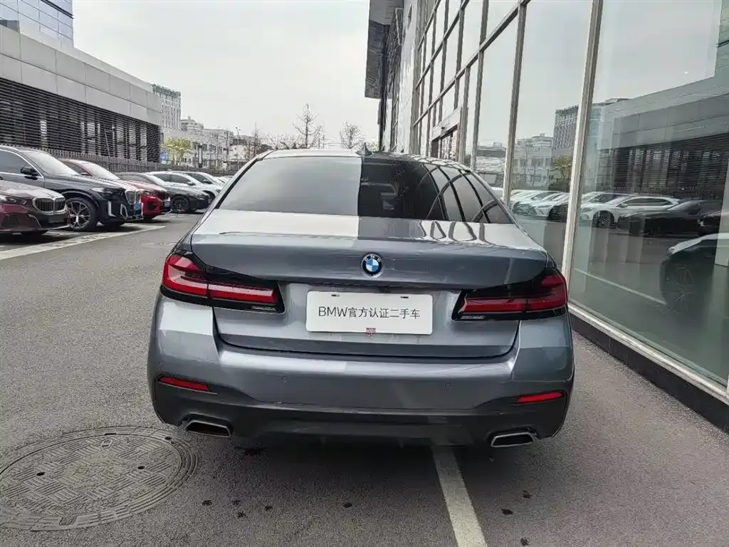 BMW 5 Series (Import) 2022 из CN, фото 5