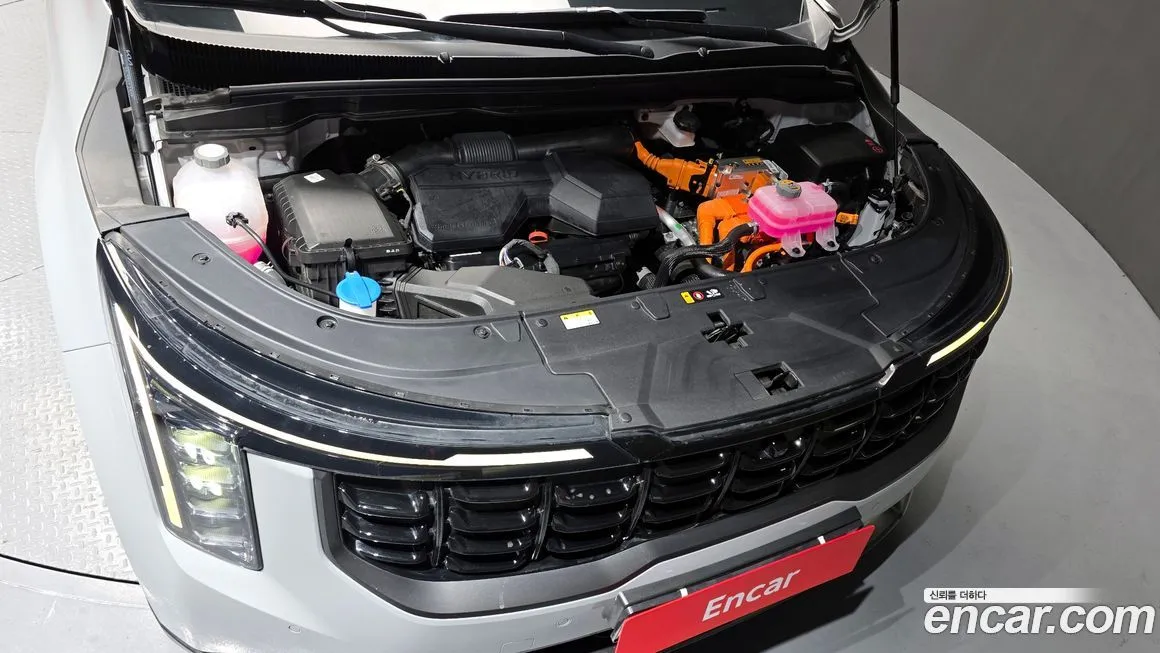Kia Carnival — фото 10