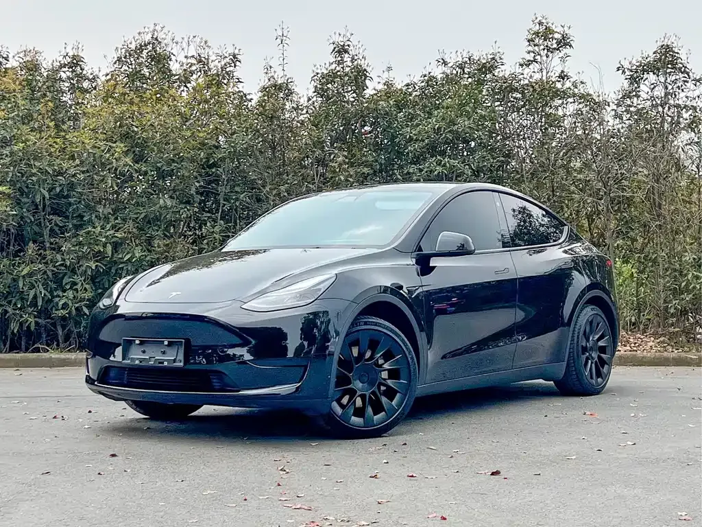 Tesla Model Y — фото 1