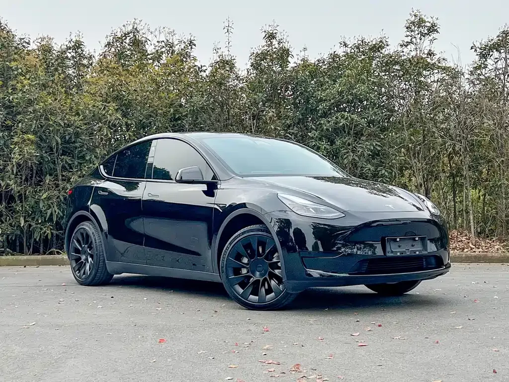 Tesla Model Y — фото 5