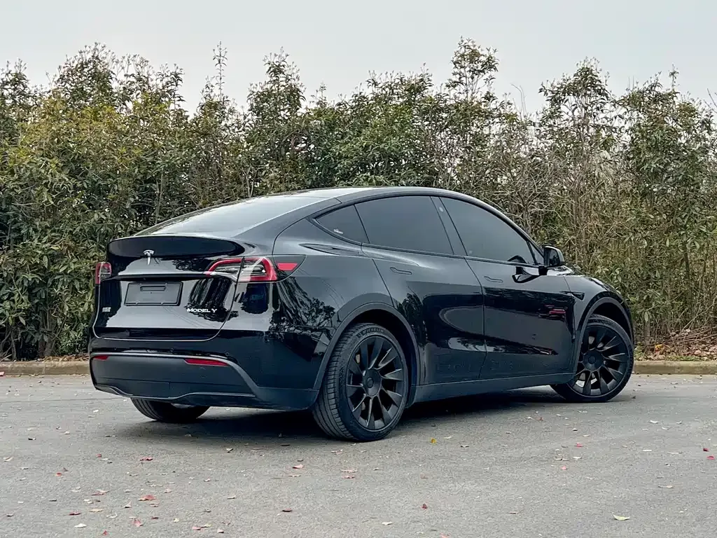 Tesla Model Y — фото 8