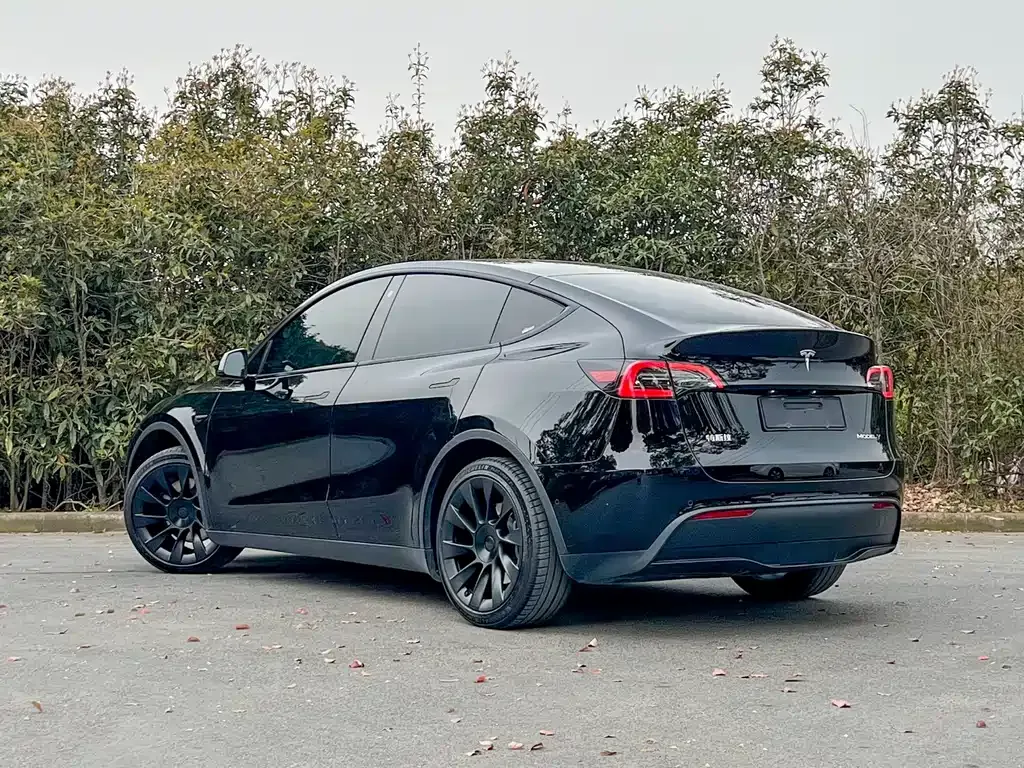 Tesla Model Y — фото 7