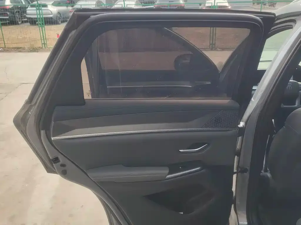 BYD Pro New Energy 2025 из CN, фото 3