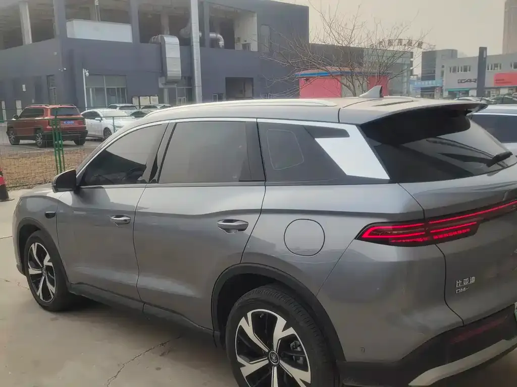 BYD Pro New Energy 2025 из CN, фото 8