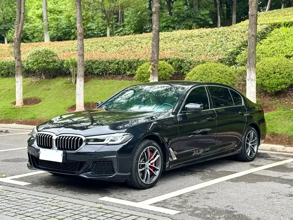 BMW 5 Series 2022 из CN, фото 1