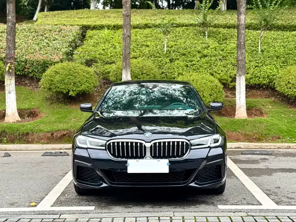 BMW 5 Series 2022 из CN, фото 2