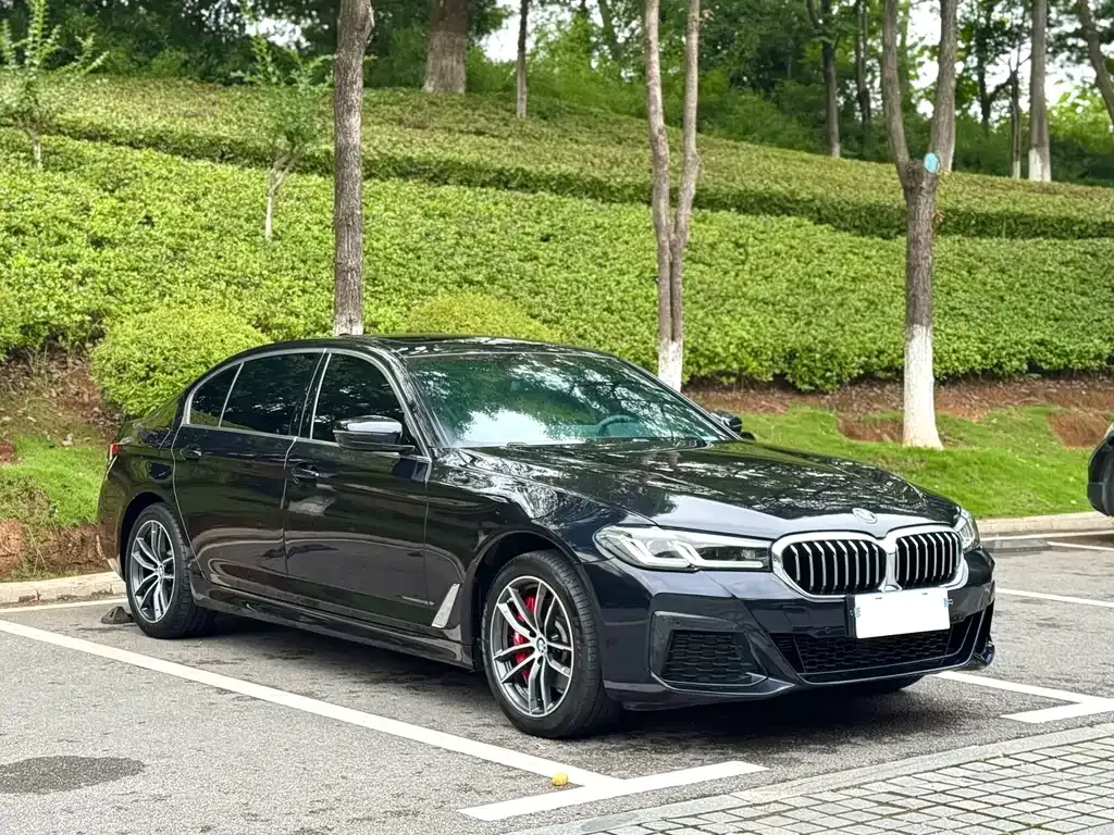 BMW 5 Series 2022 из CN, фото 4