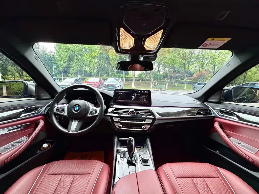 BMW 5 Series 2022 из CN, фото 10