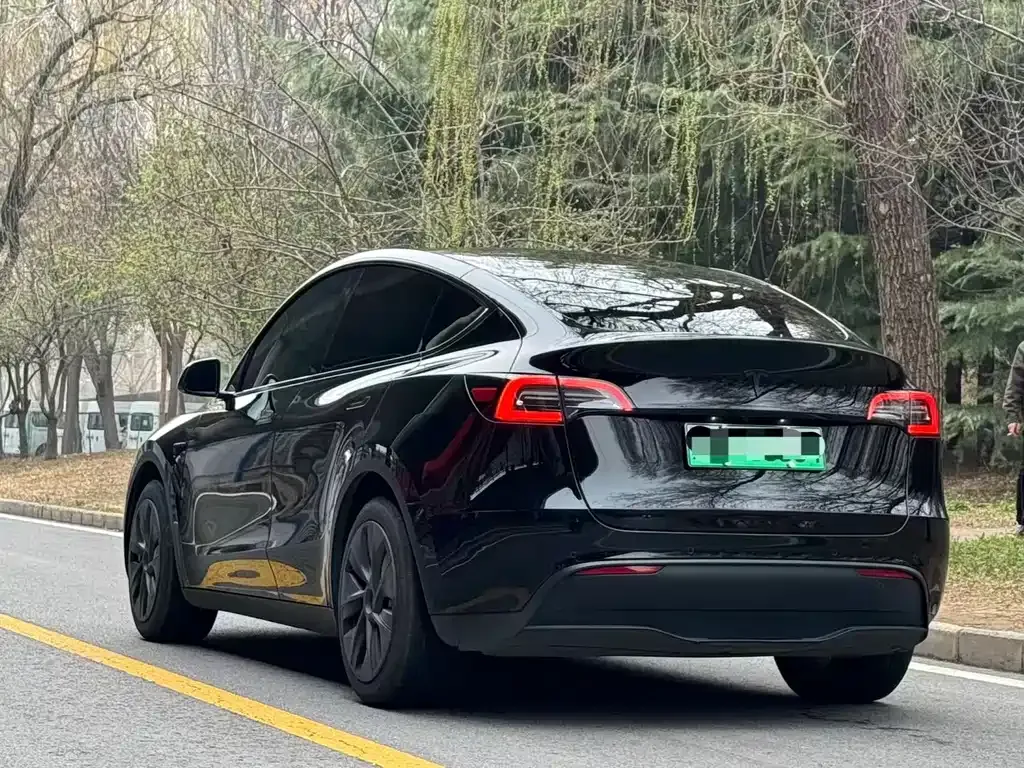 Tesla Model Y 2023 из CN, фото 9