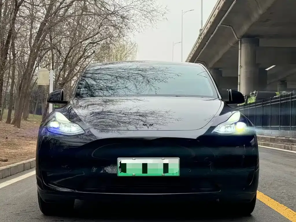 Tesla Model Y 2023 из CN, фото 2