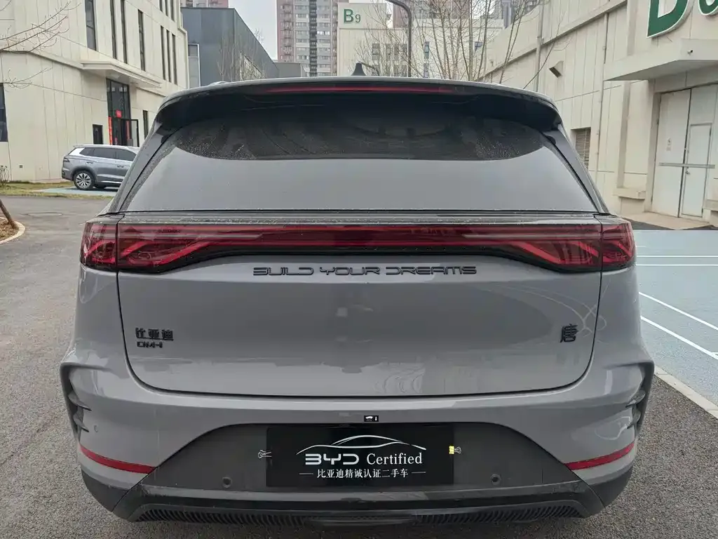 BYD Tang New Energy 2025 из CN, фото 6