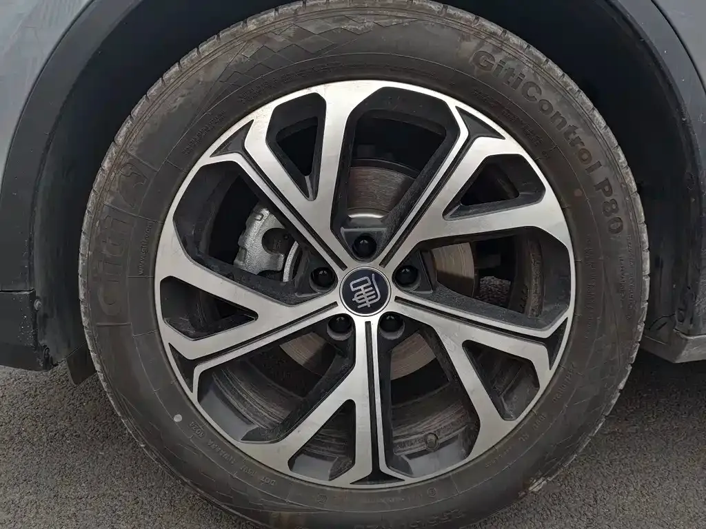 BYD Tang New Energy 2025 из CN, фото 5