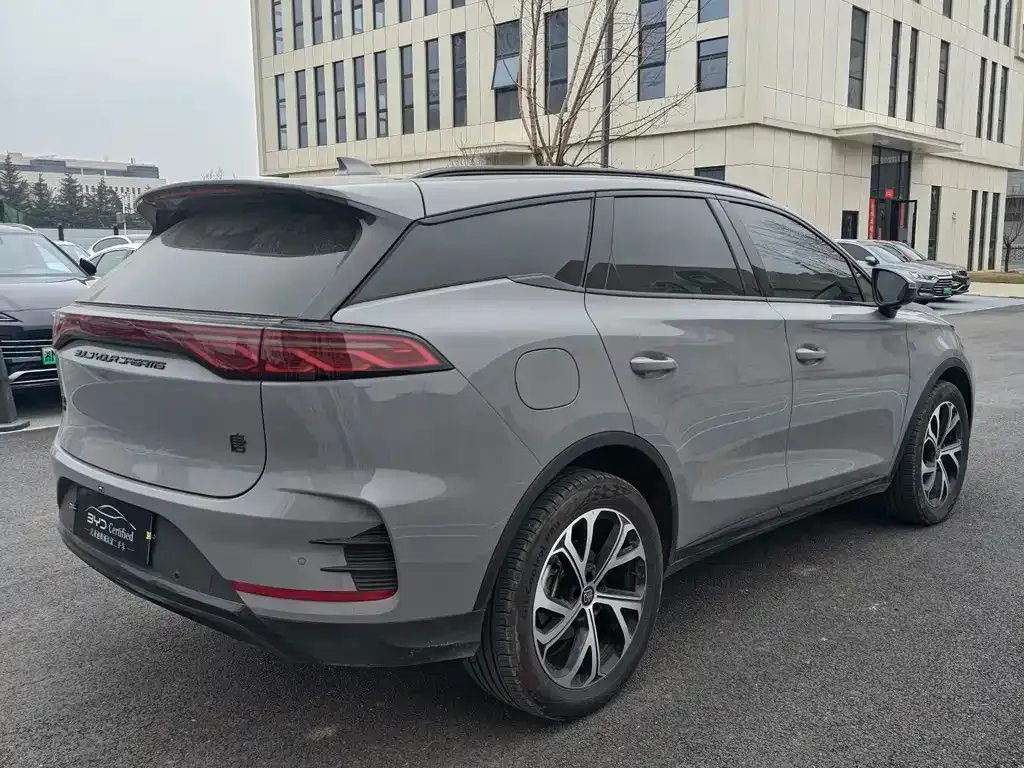 BYD Tang New Energy 2025 из CN, фото 9