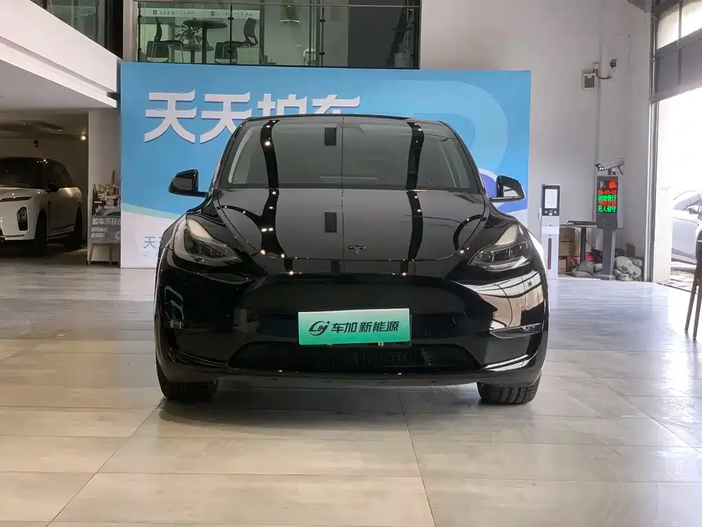 Tesla Model Y — фото 7