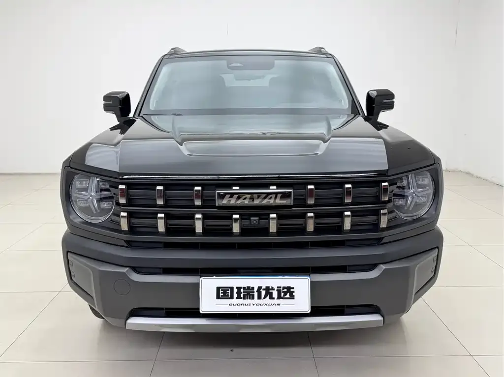 Haval Cool Dog 2022 из CN, фото 2