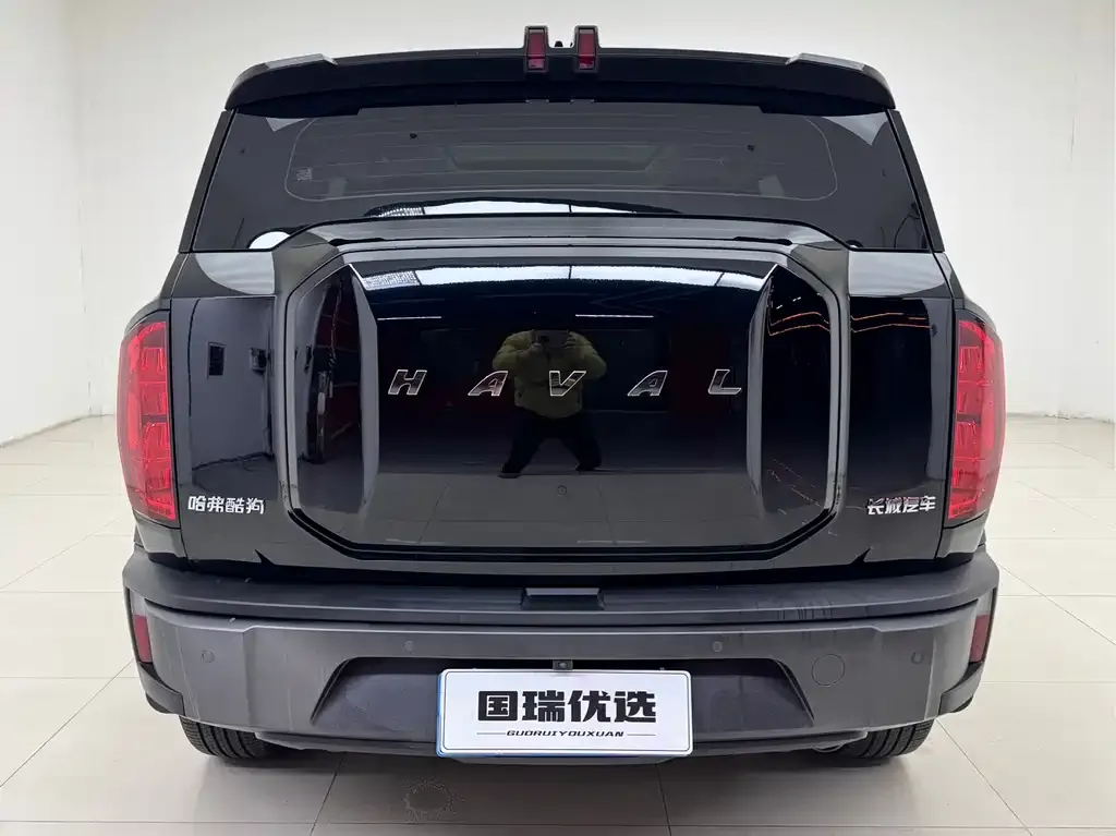 Haval Cool Dog 2022 из CN, фото 9