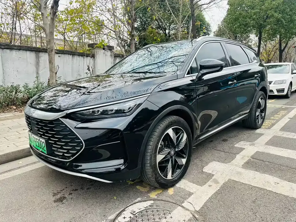 BYD Tang New Energy — фото 1