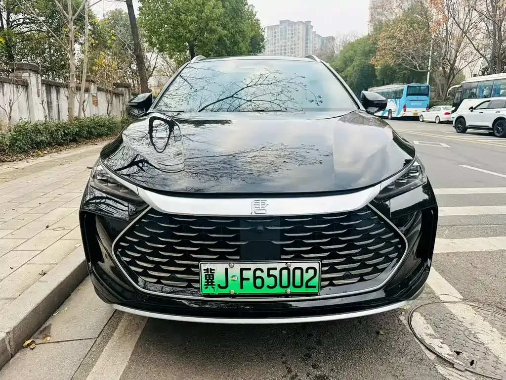 BYD Tang New Energy — фото 2