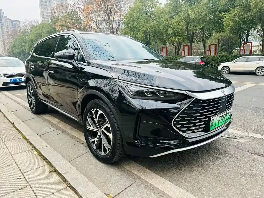BYD Tang New Energy — фото 8