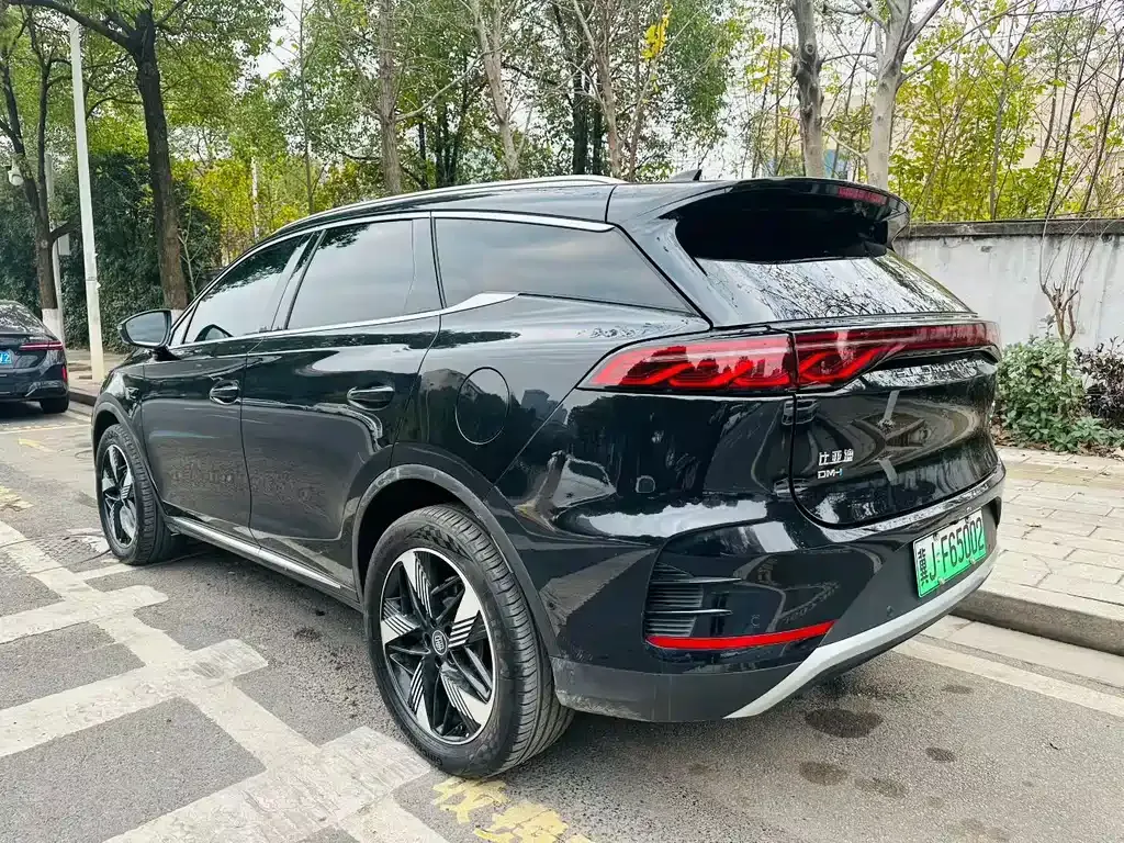 BYD Tang New Energy — фото 6