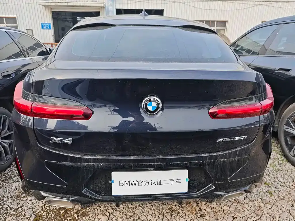 BMW X4 2025 из CN, фото 7