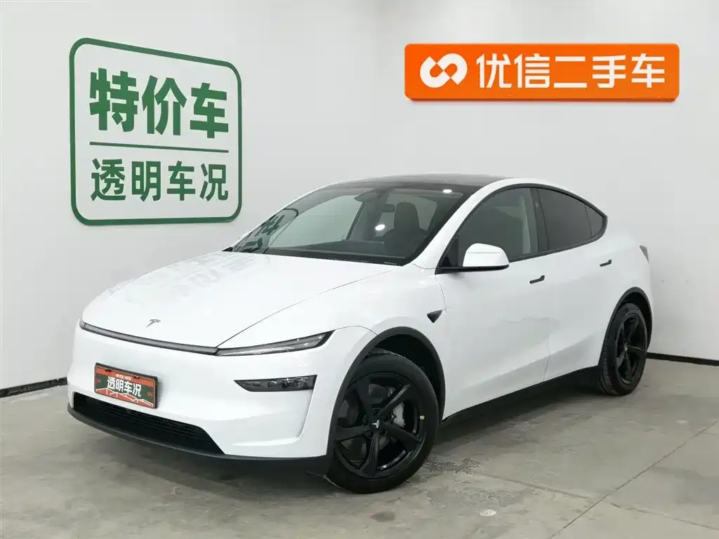 Tesla Model Y 2025 из CN, фото 1