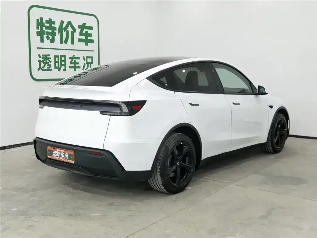 Tesla Model Y 2025 из CN, фото 9