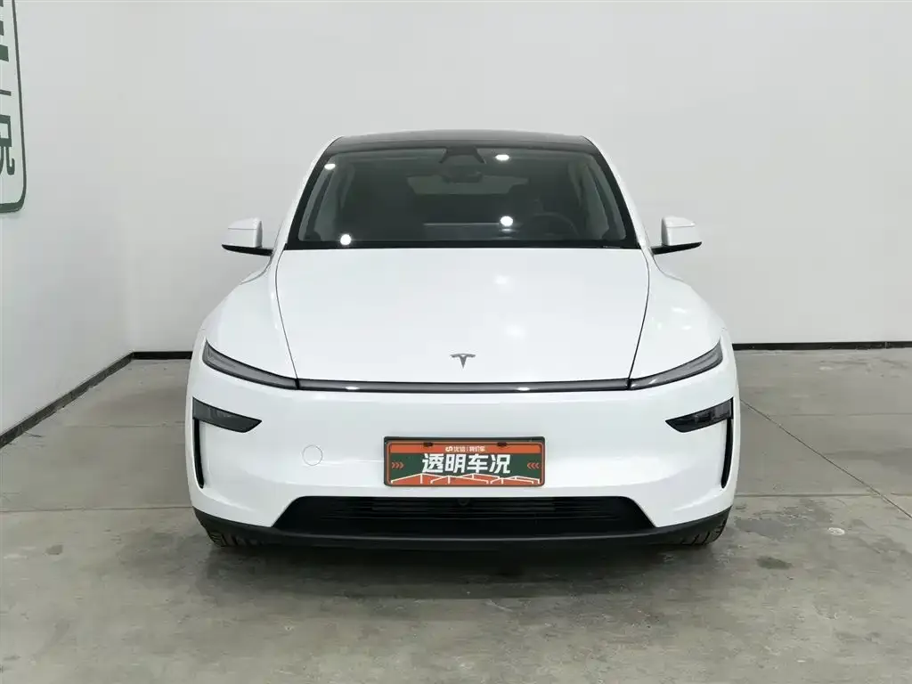 Tesla Model Y 2025 из CN, фото 2