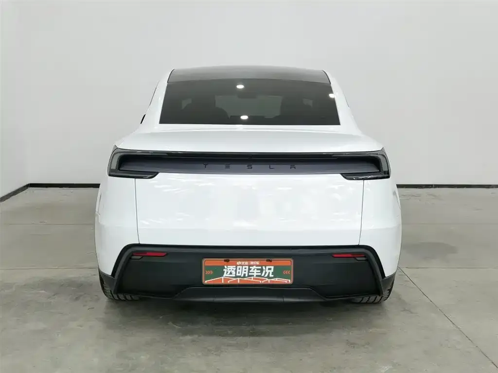 Tesla Model Y 2025 из CN, фото 3