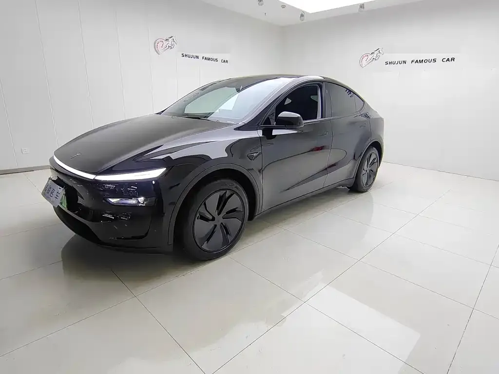 Tesla Model Y 2025 из CN, фото 1
