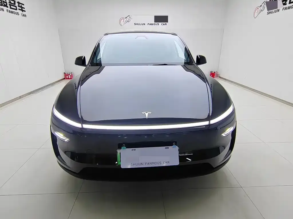 Tesla Model Y 2025 из CN, фото 3