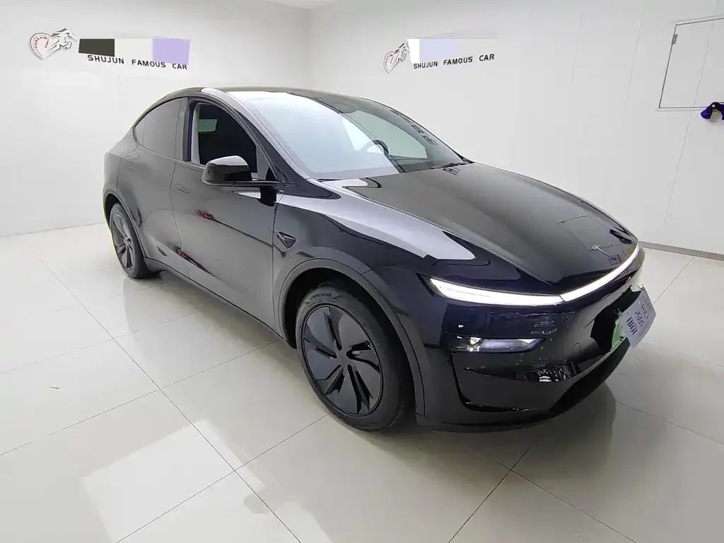 Tesla Model Y 2025 из CN, фото 2