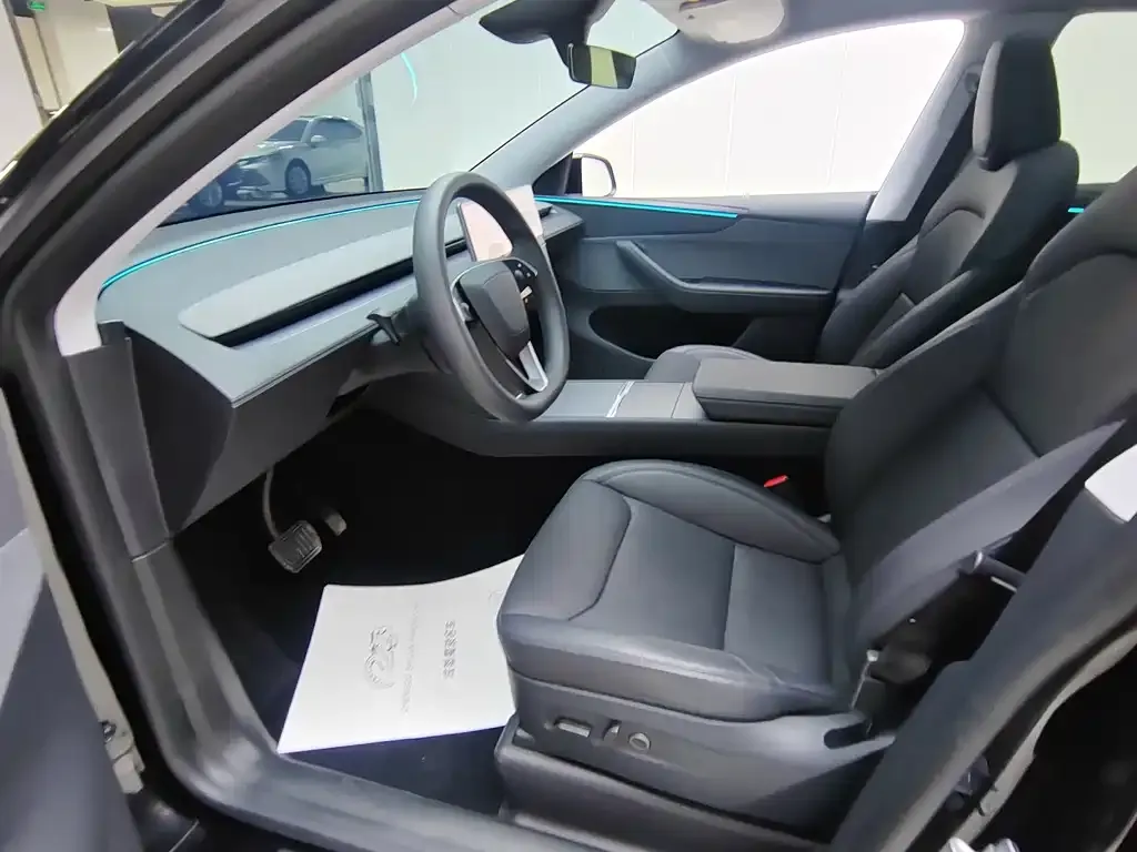 Tesla Model Y 2025 из CN, фото 4